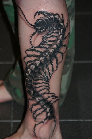 Scolopendra tattoo