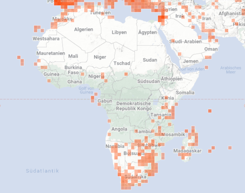 Scolopendra in Afrika